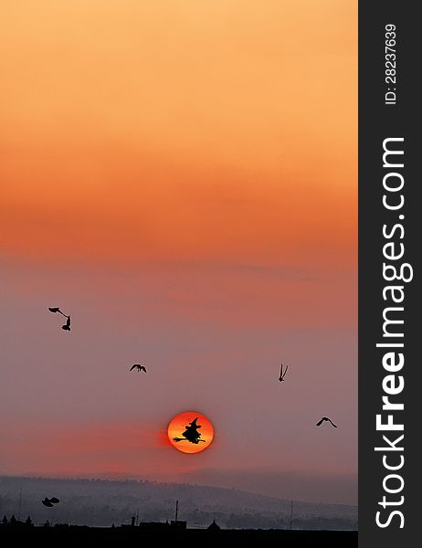 Witch and birds flying at sunset. Witch and birds flying at sunset