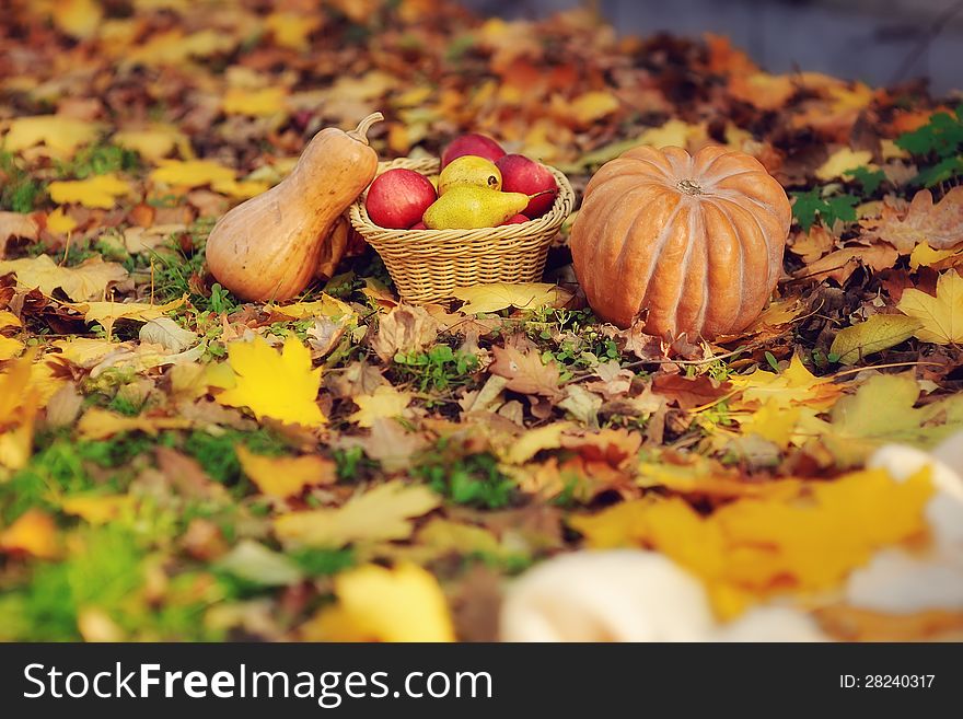 On the green grass is a fruit basket and a pumpkin. On the green grass is a fruit basket and a pumpkin