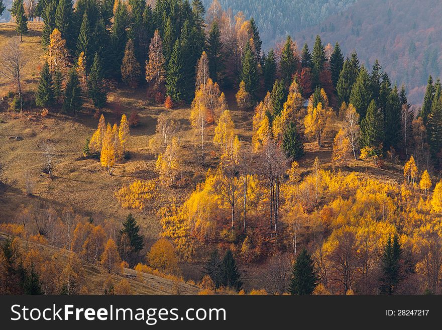 Beautiful autumn scenery in a remote mountain location, on a sunny day