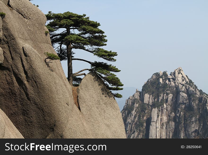 Huangshan Chinese