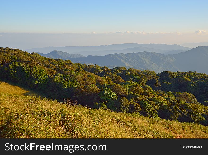 Plentiful forest(mountain landscape north of Thailand)