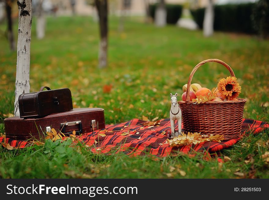 Picnic on a blanket, fruit basket and bags