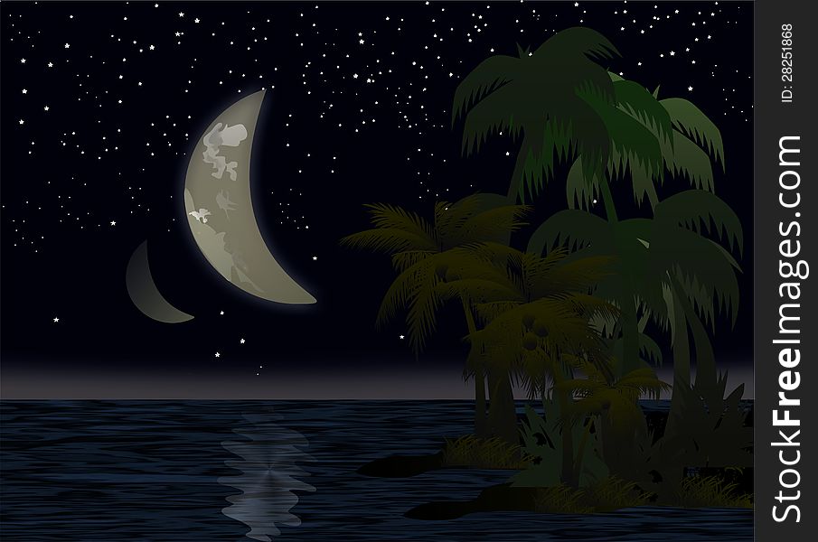 Stars, the moon and palms on the tropical sea. Stars, the moon and palms on the tropical sea
