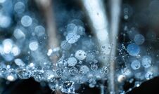 Free The Little World Of Water Stock Photos - 282539863