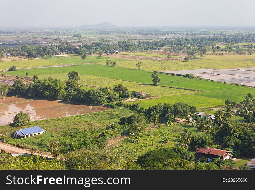 View above the rice farming rural Thailand. View above the rice farming rural Thailand.