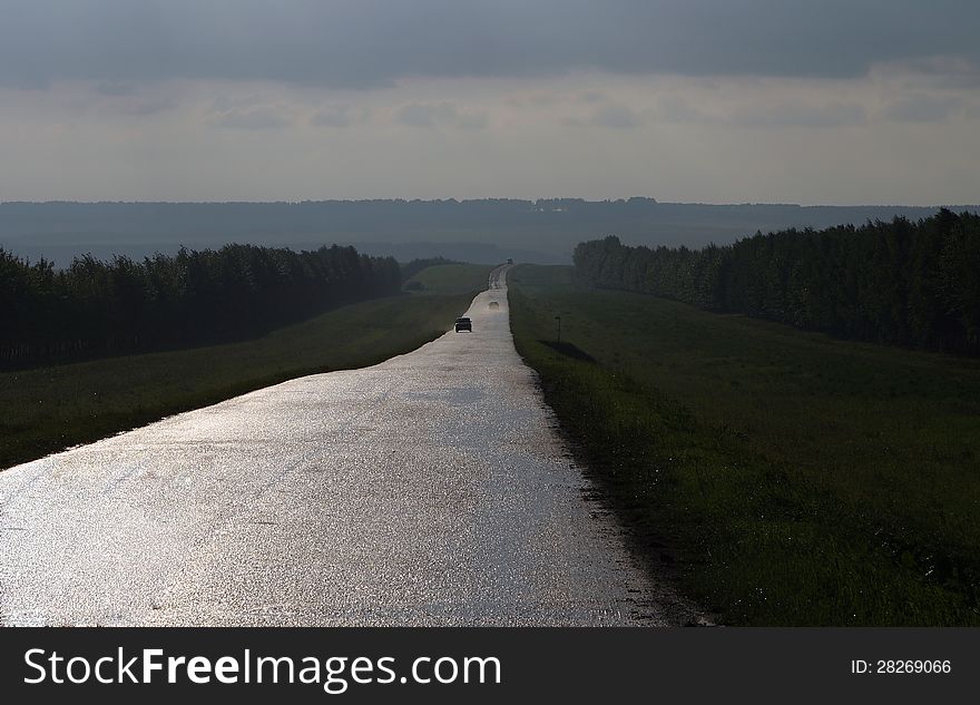 Stroll along the road in the fog