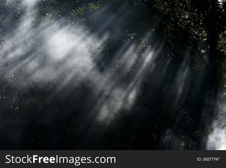 Sun & forest & fog near city Ruzomberok, Slovakia