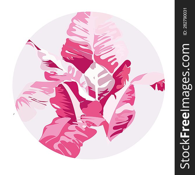 Circle decorative with pink fern, for your designs and ideas, graphic element