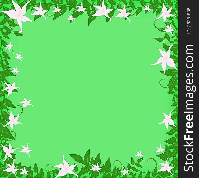 Vector frame with white flowers