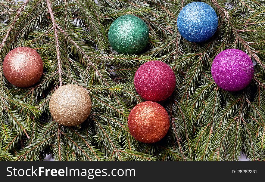 Colored balls are on the fir trees. background