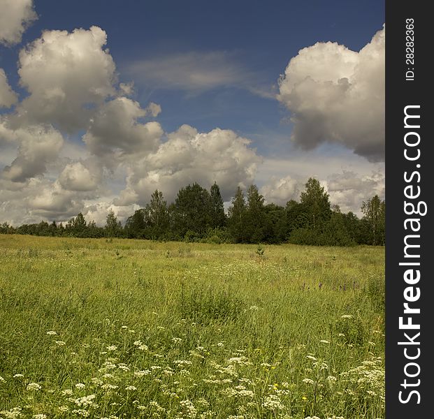 Summer landscape of a midland of Russia. Summer landscape of a midland of Russia.