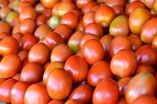 Fresh Tomato Fruit On Traditional Market Stock Images Fresh Tomato Fruit On Traditional Market Stock Images