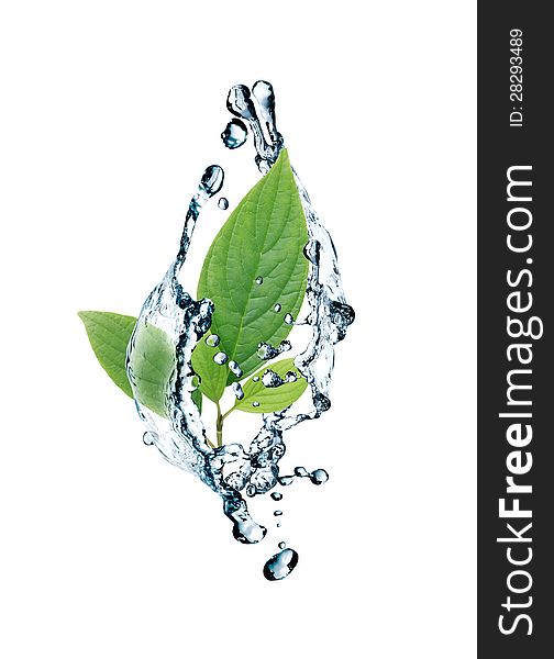 Ecology concept.Abstract composition with green leaves and splashing water. Ecology concept.Abstract composition with green leaves and splashing water
