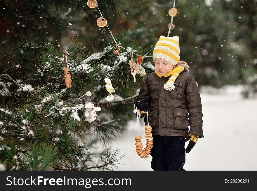 In the forest boy decorates a Christmas tree toys. In the forest boy decorates a Christmas tree toys