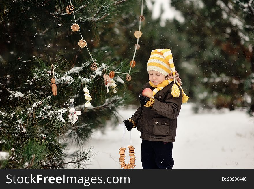 In the forest boy decorates a Christmas tree toys. In the forest boy decorates a Christmas tree toys