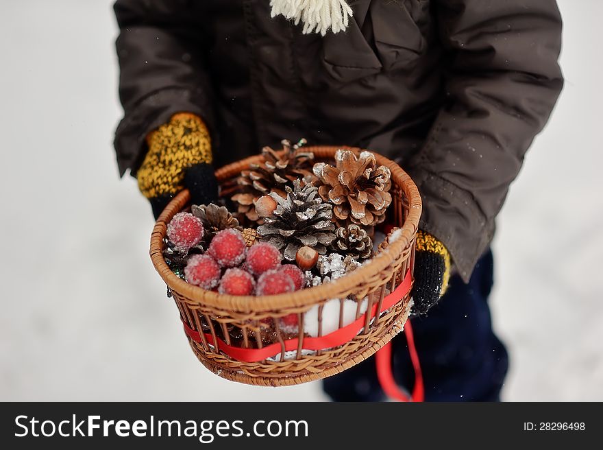 Boy holding a basket of pine cones and frozen grapes. Boy holding a basket of pine cones and frozen grapes