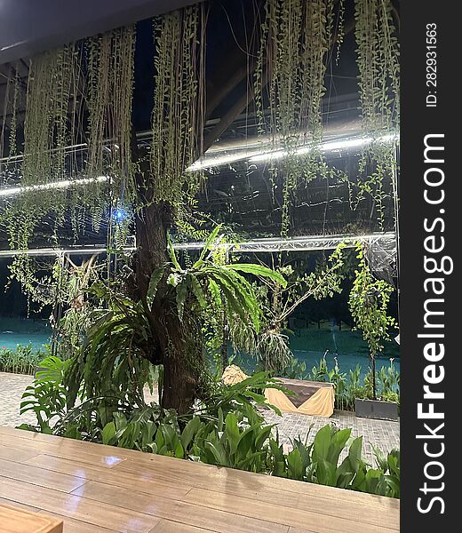 The Hanging Decorative Plants Cascade Downward