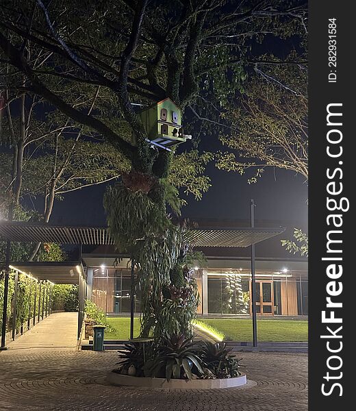 A Birdhouse On A Tree In Front of A Villa