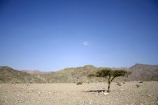 Dry Desert In Red Sea Region Stock Images Dry Desert In Red Sea Region Stock Images