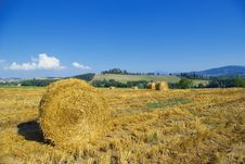 Golden Hayfield Stock Image Golden Hayfield Stock Image
