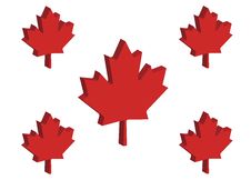 Canadian Maple Leaves Royalty Free Stock Image Canadian Maple Leaves Royalty Free Stock Image