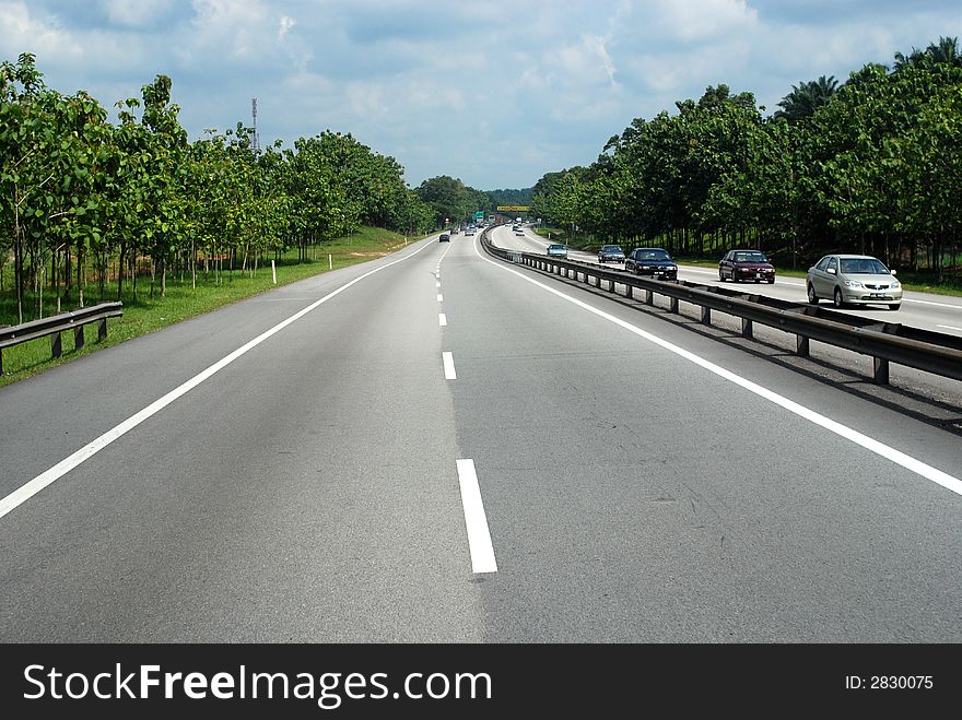 Highway and trees in the city