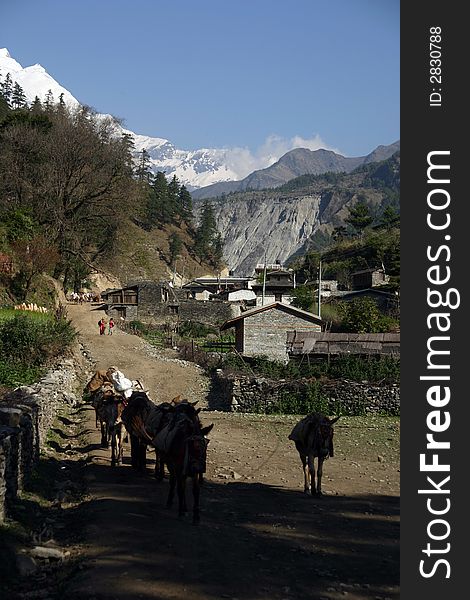 Himalaya Trekking in the Annapurna Region