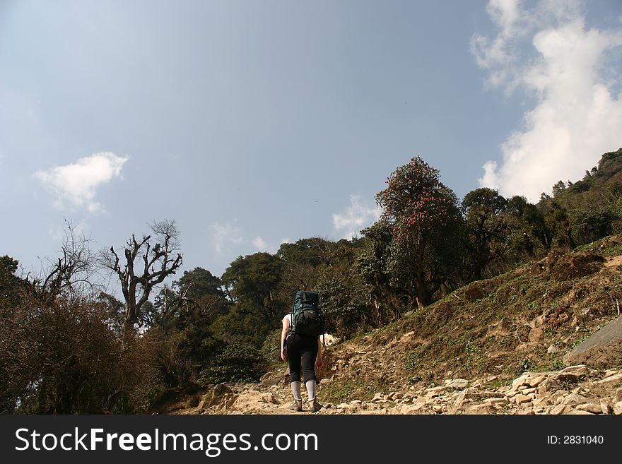 Himalaya Trekking in the Annapurna Region. Himalaya Trekking in the Annapurna Region