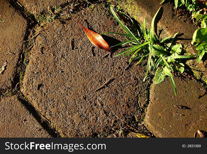 Its a paving stone at the terrace with grass and dry leaf. Its a paving stone at the terrace with grass and dry leaf