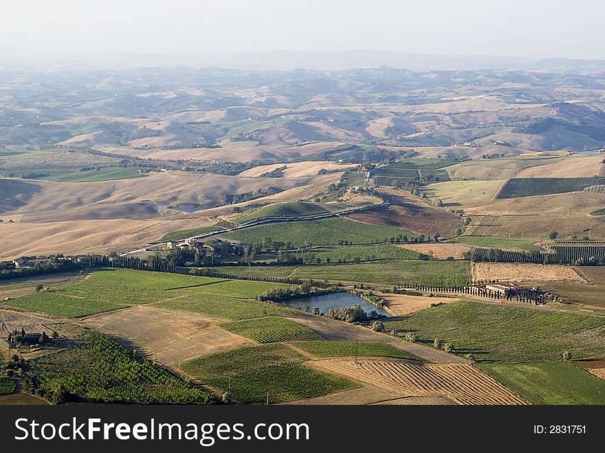 View of cultivated field and meadow in Val d'orcia, Siena. View of cultivated field and meadow in Val d'orcia, Siena
