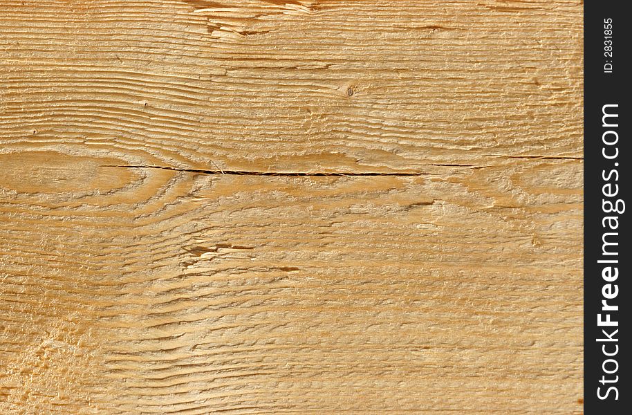 Rough real wooden texture close up