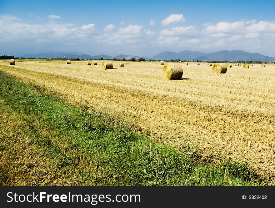 Harvest Fields With Straw in cianti