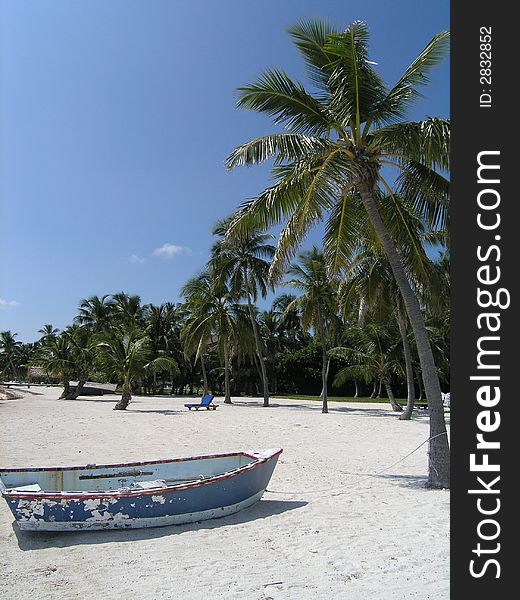 Wooden rowboat tied to a palm tree on a sandy beach. Wooden rowboat tied to a palm tree on a sandy beach