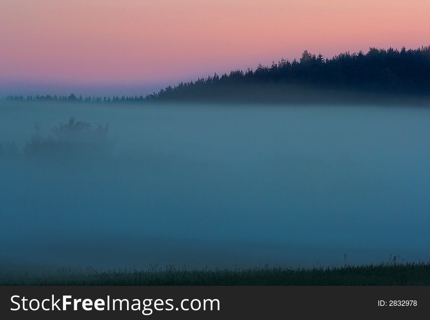 Foggy Evening And Sunset