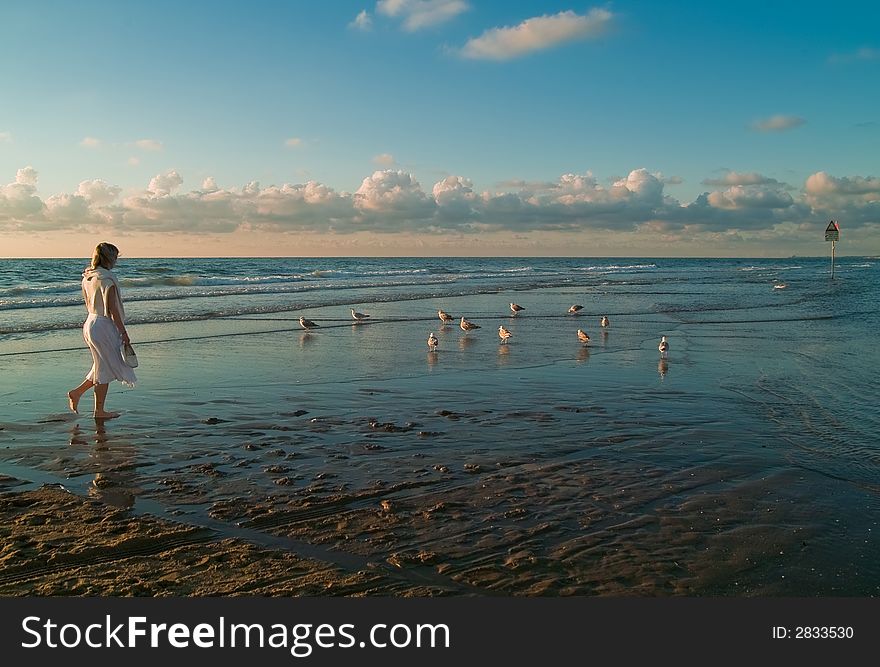 Attractive blond girl at the seaside with seagulls. Attractive blond girl at the seaside with seagulls