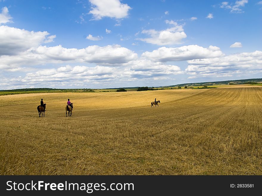 Wide angle photo: three girls riding their horses on a stubble field. Wide angle photo: three girls riding their horses on a stubble field.