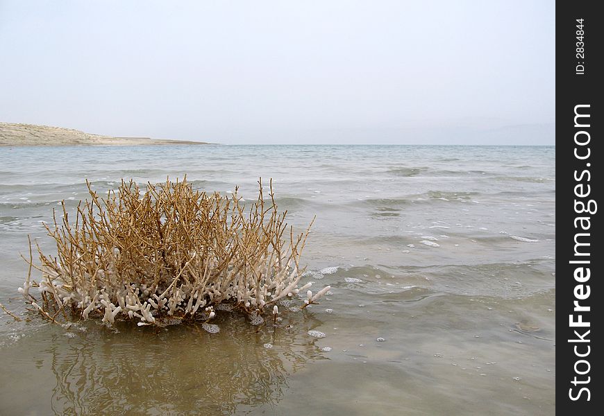 Dead sea and crystals minerals