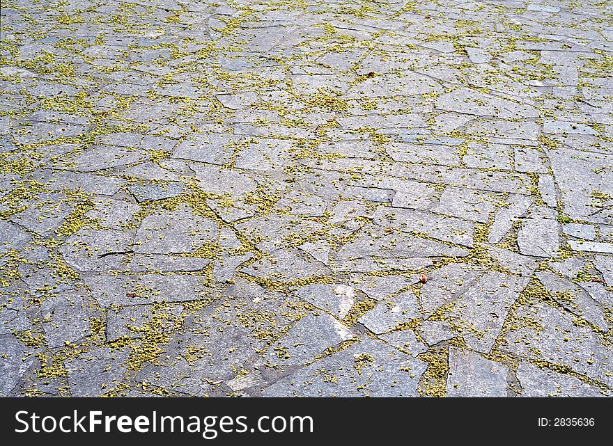 The yellow leafs on the pavement plates