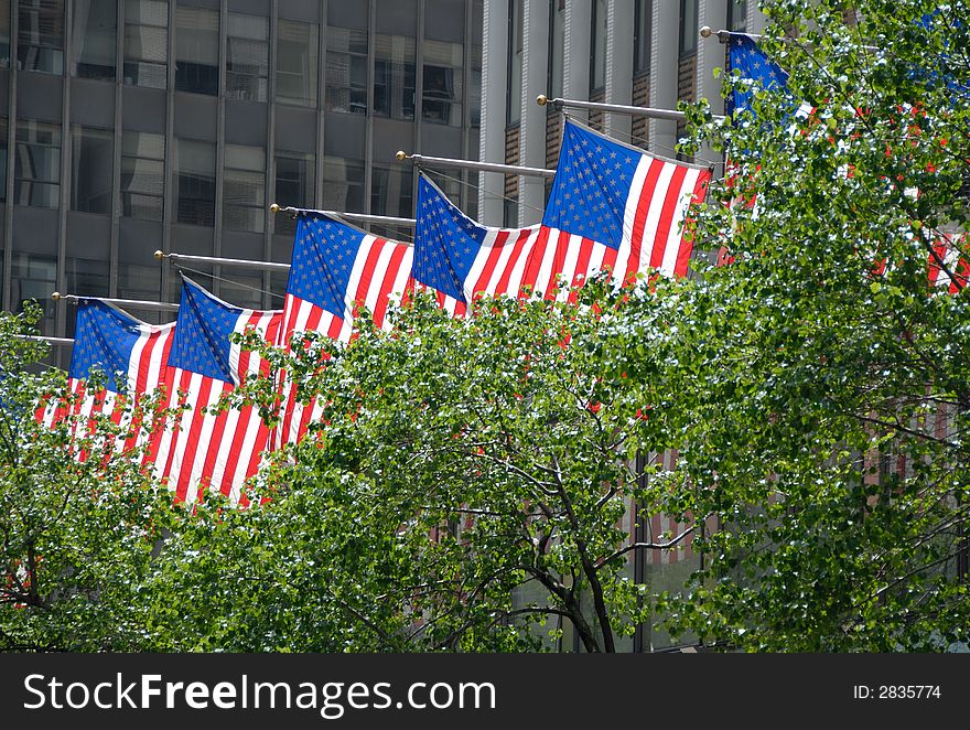 A row of back lit US flags in downtown Manhattan, New York. A row of back lit US flags in downtown Manhattan, New York.