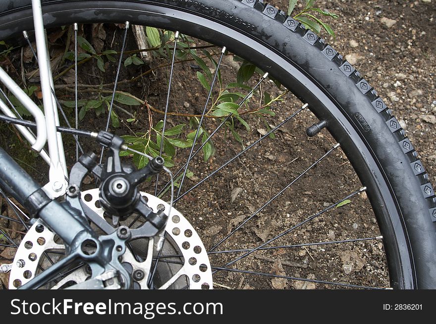 Rear bike wheel with gear and disk brake visible
