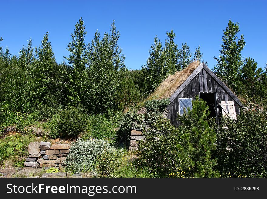 A mountain cabin in disrepair surrounded by growth and trees