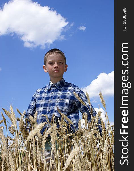 Boy in the middle of a wheaten field. Boy in the middle of a wheaten field