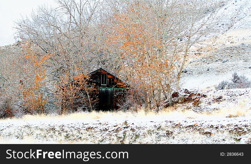 Barn In Winter