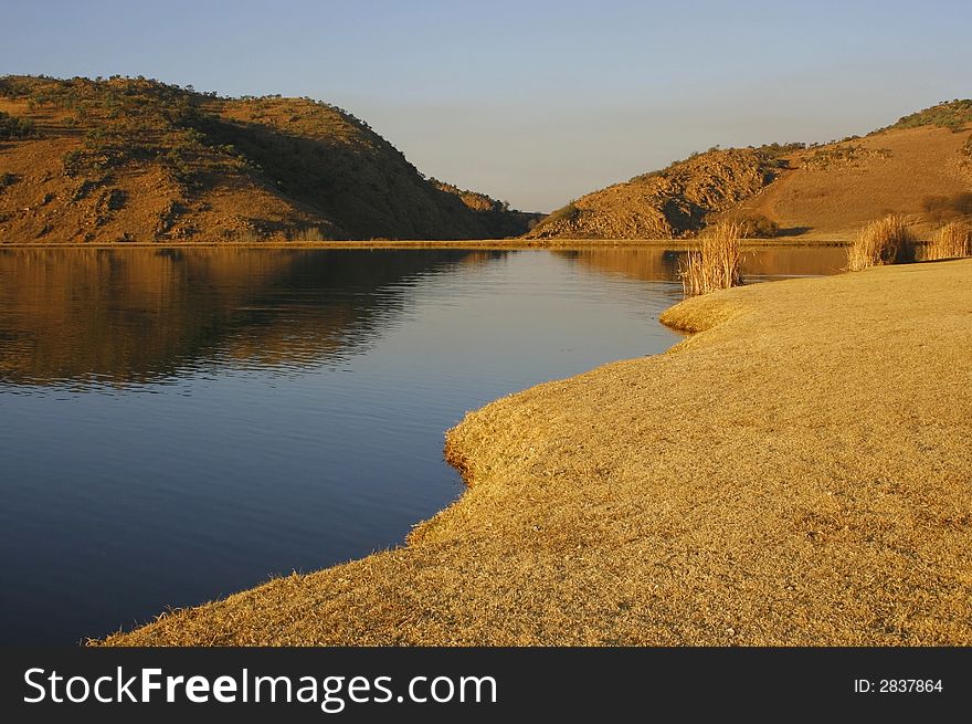 Contrast of wet water and dry grass. Contrast of wet water and dry grass