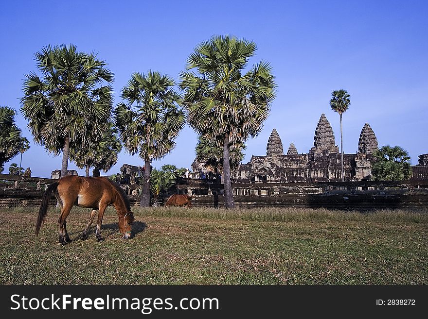 Angkor Wat with a horse in front.