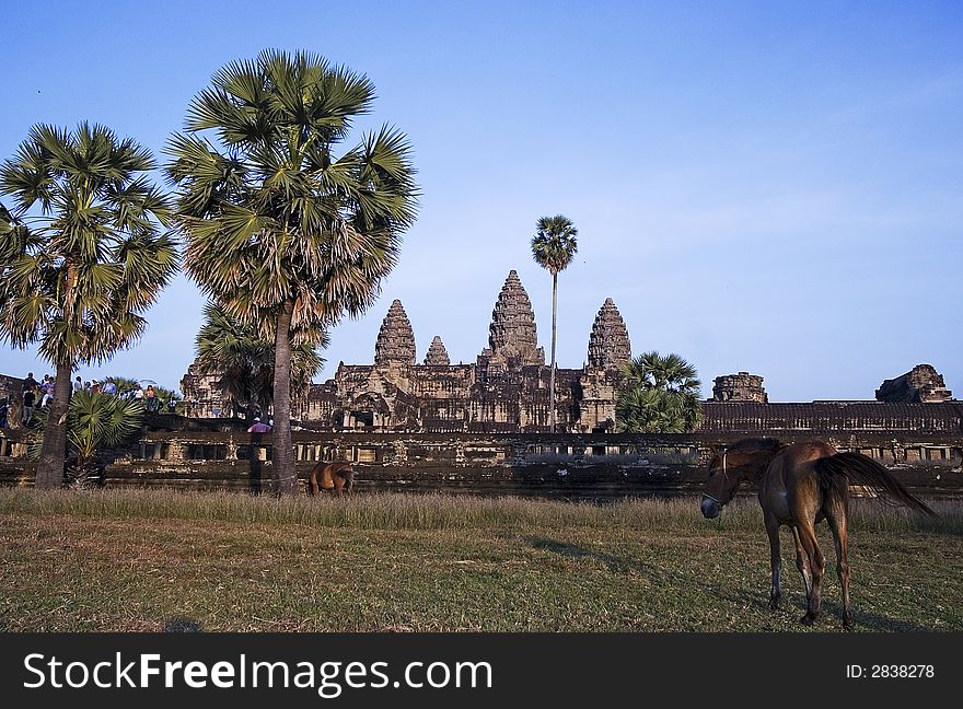 Angkor Wat with a horse in front.