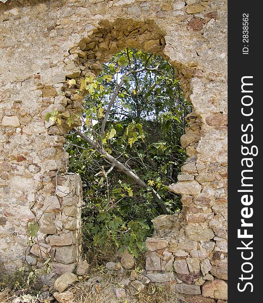 An old broken wall in a vineyard in the provence. An old broken wall in a vineyard in the provence