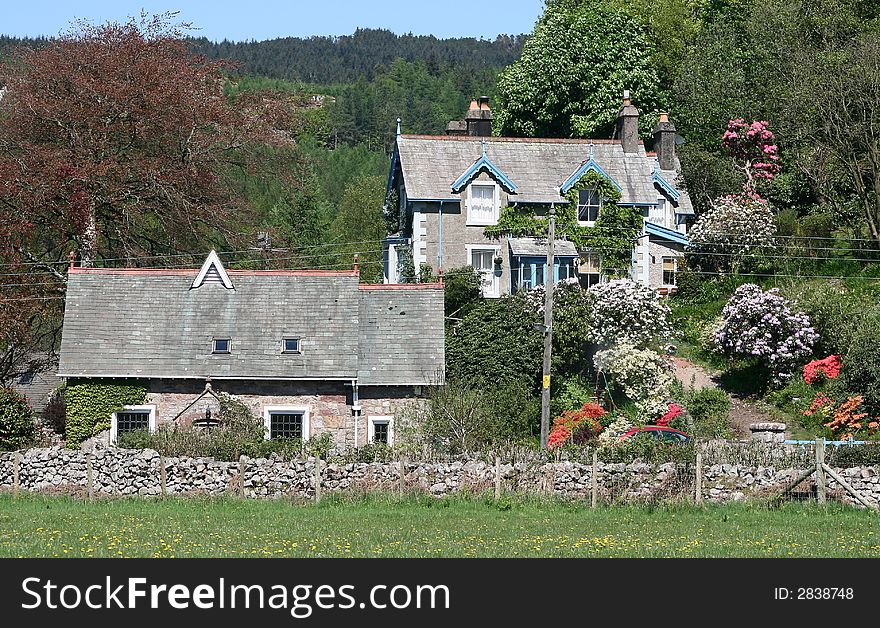 Pretty cottage with colorful flowers and shrubs in the garden