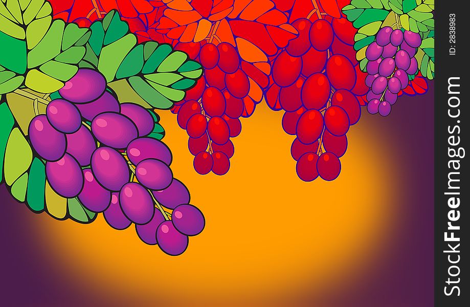 Purple And Red Grapes