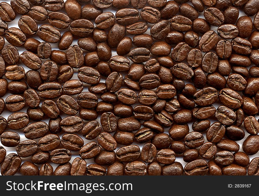 Coffee-beans on white background